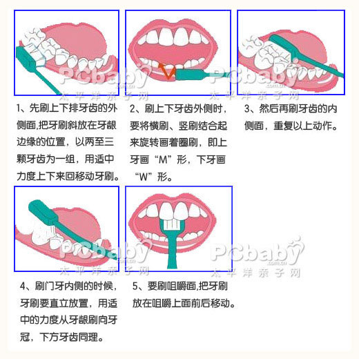 刷牙步骤图